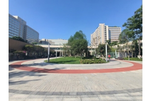 四川大學華西醫(yī)院景觀綠化改造工程